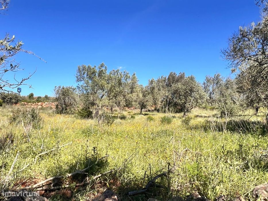 Terreno rústico com 7360m2 I Entre São Bartolomeu de Messines e Padern — Paderne, Faro