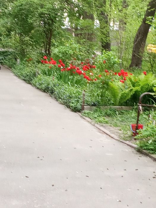 3 К сталінка від власника, тихе місце ,є газ.