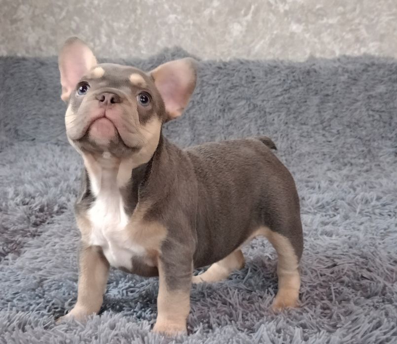 Розочка ждёт Вас