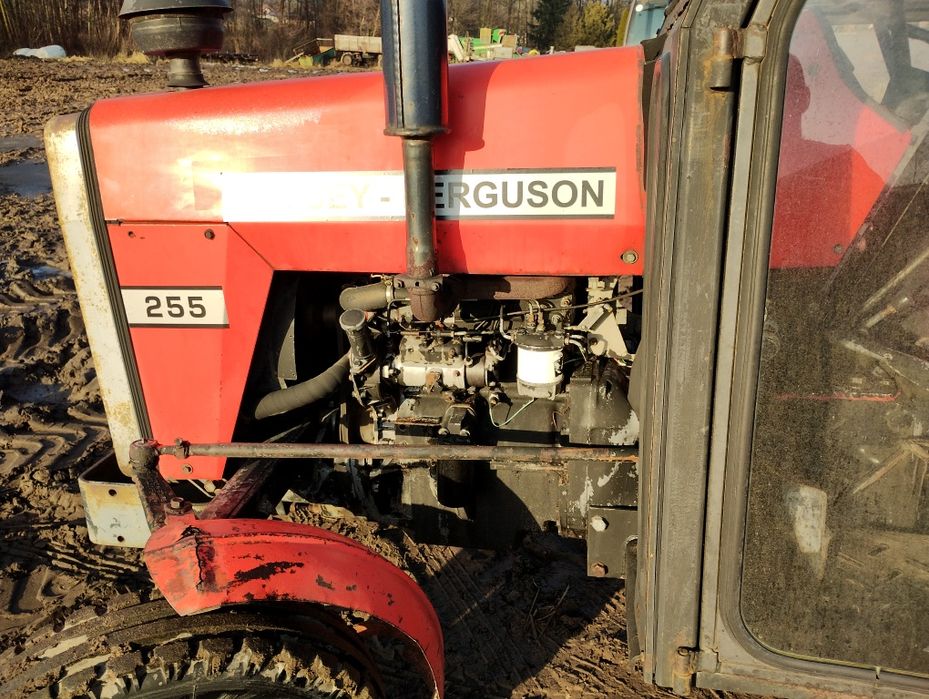 Sprzedam Massey Ferguson 255. Rok 1989.. zamiana