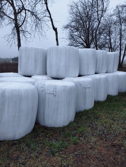 Baloty bele sianokiszonka