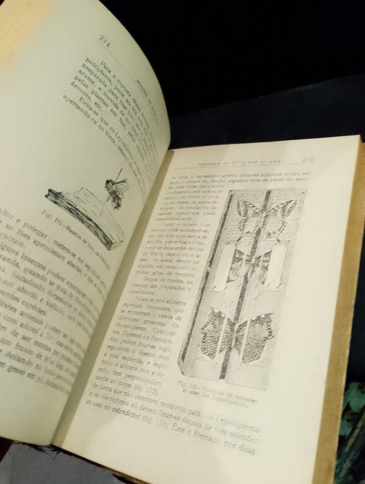 Noções de Zoologia - Augusto C. G. Soeiro (1933)