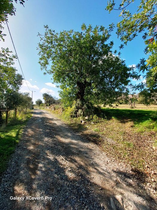 Alugo magnífico terreno com vista mar e serra,