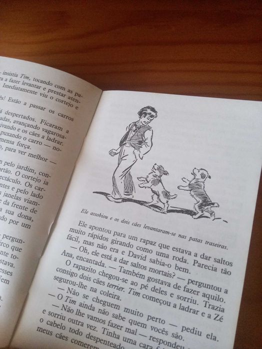 Os Cinco e o Circo - Enid Blyton