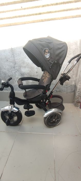 Triciclo evolutivo