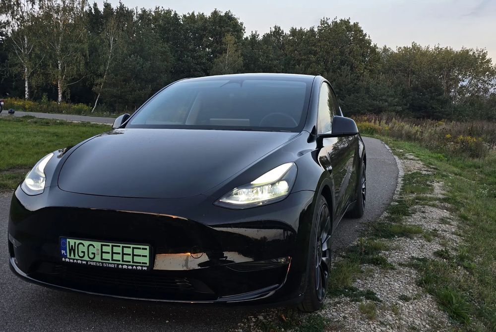 Tesla Y