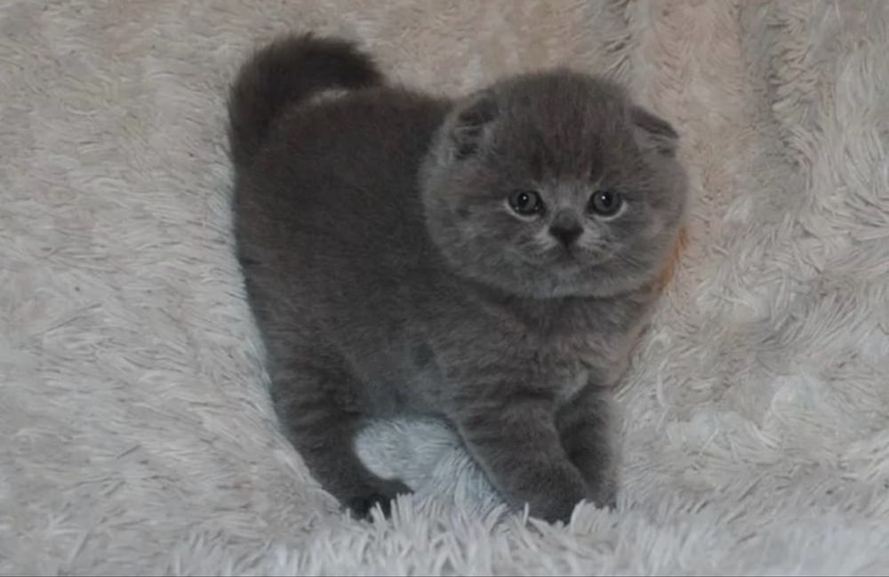 Малишка ждёт вас