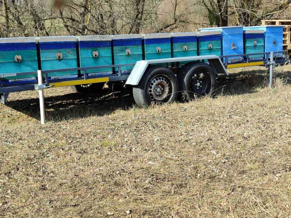 Продам бджоло пакети та сім"ї