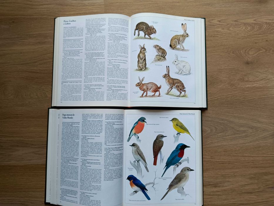 Moderna enciclopédia de animais