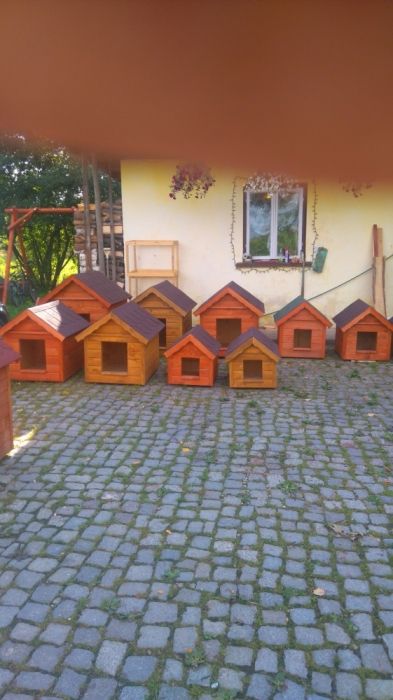 buda  dla  psa budy ocieplone!!!