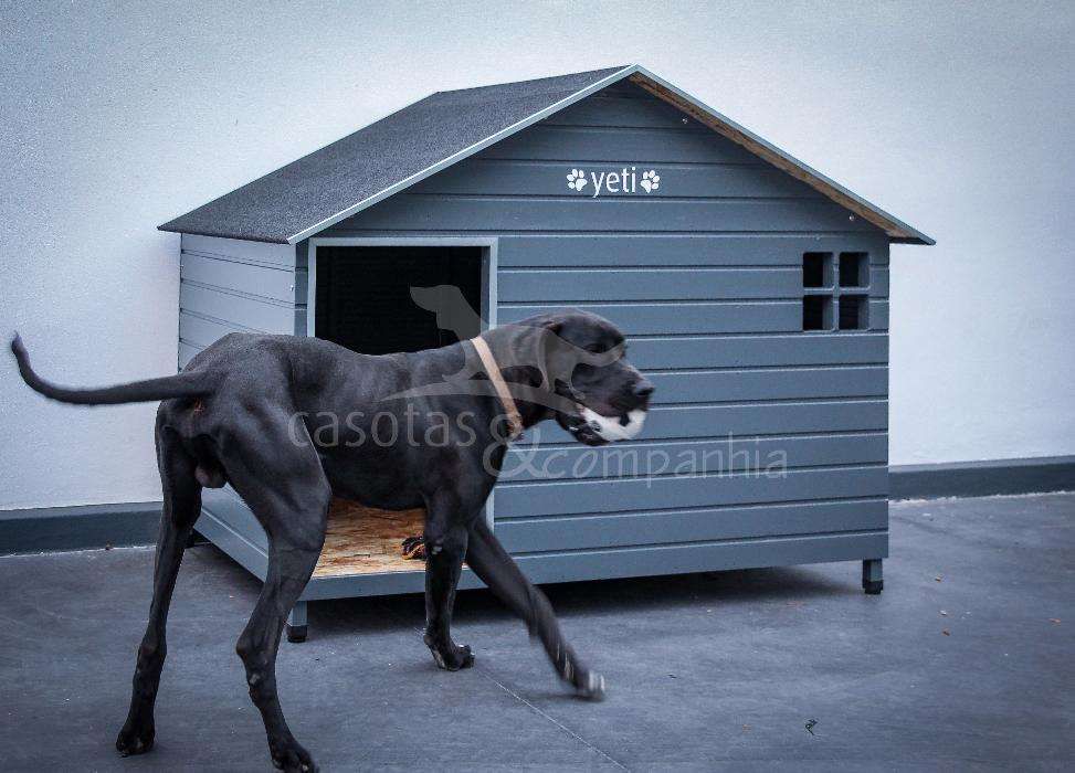 Casotas&Companhia! - Casota em Madeira Mod. Zeus XXXL Lite