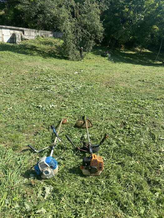 Зрізаня аварійних дерев вирізана розчистка ділянок