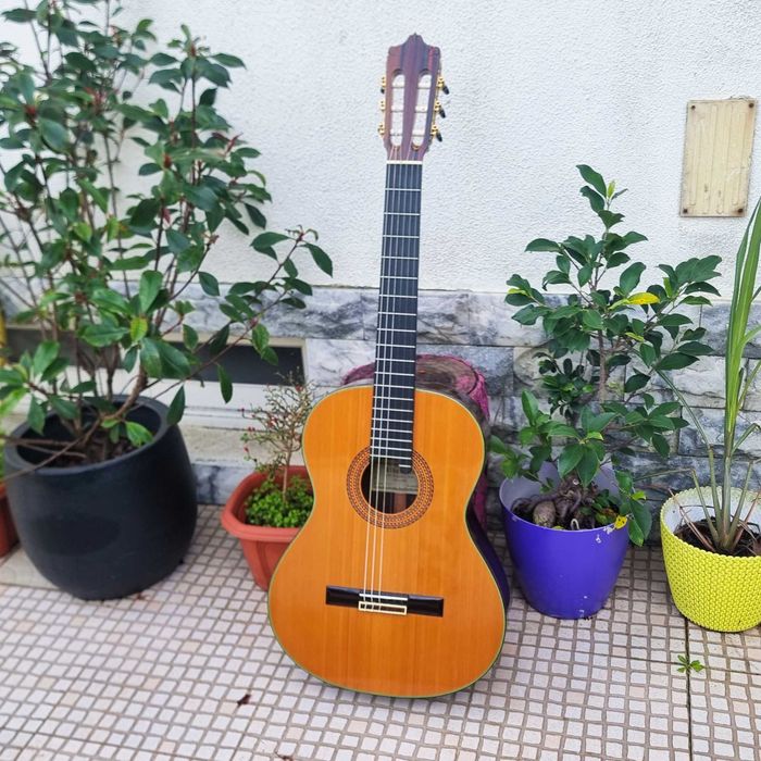 Guitarra Alhambra 11C | 2 anos de garantia