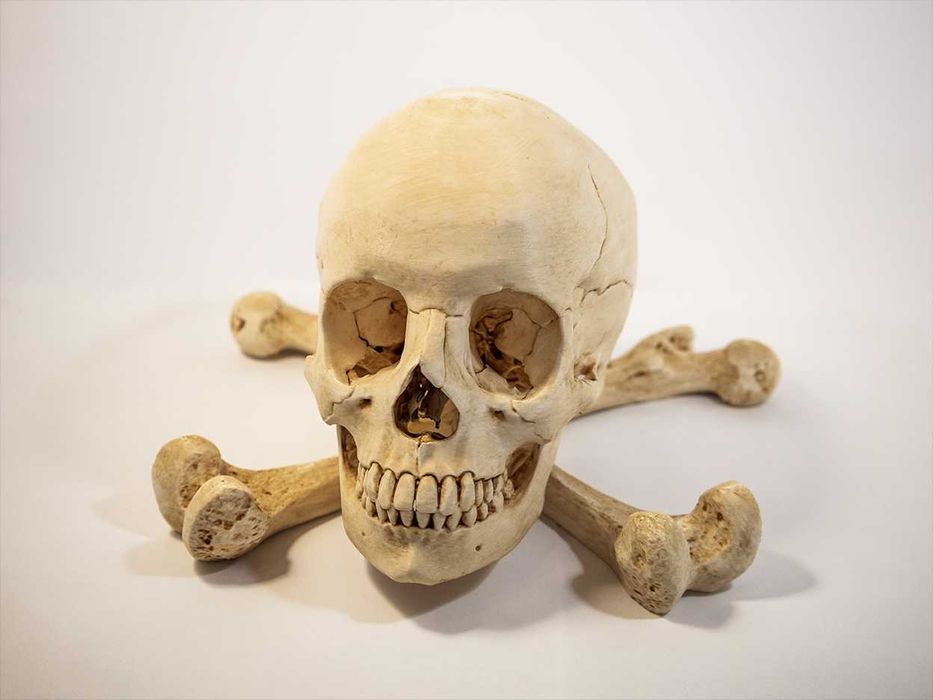 Crânio humano tamanho real - Impressão 3D e pintado à mão - Halloween