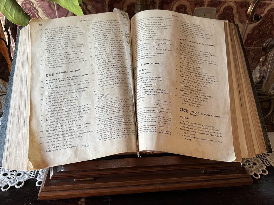 Vendo biblia sagrada mais suporte