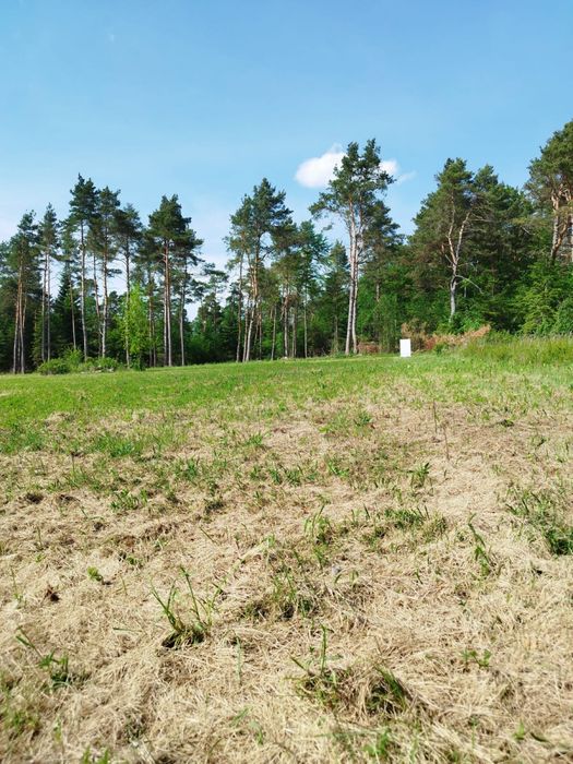Działka przy lesie w Bilczy-Zastawie