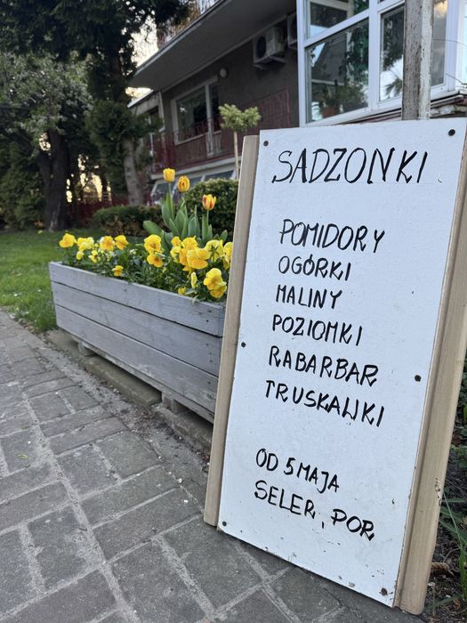 Sadzonki warzyw i owoców od producenta