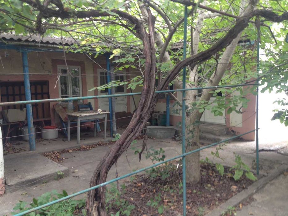 Продам дом с. Заря Одесская область