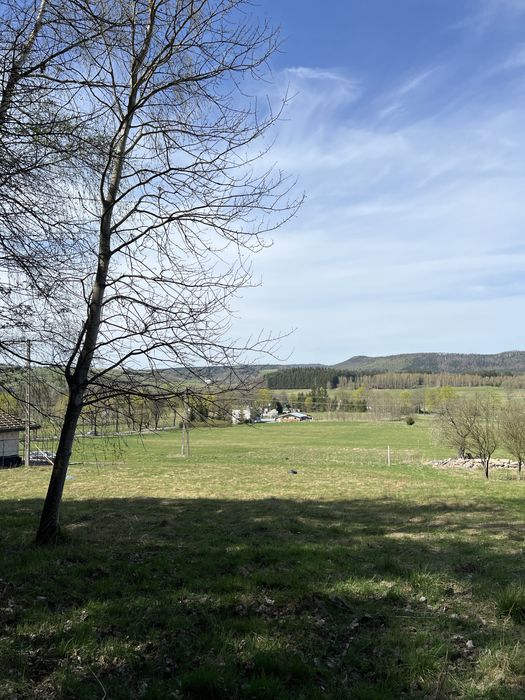 Piękna działka w Łężycach - Widok 5