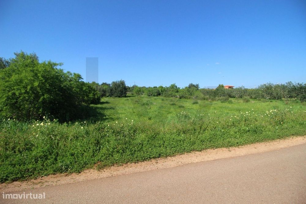 Terreno rustico com 8610 m2, Barranco Longo, Algoz — Algoz E Tunes, Faro