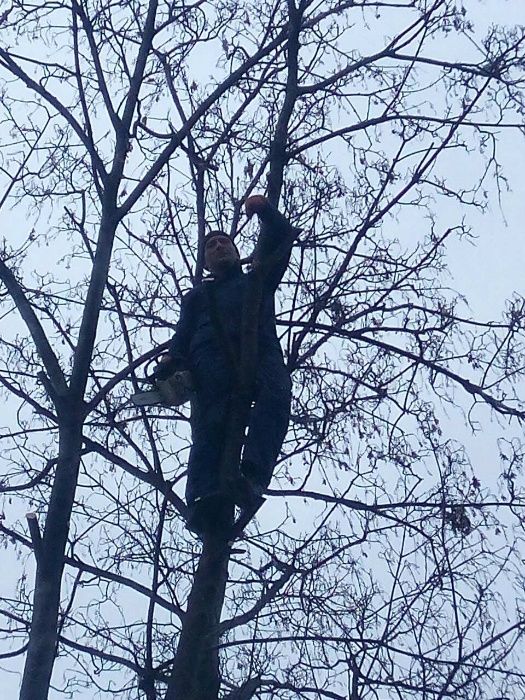 Не знаете как спилить дерево,мы поможем,Одесса