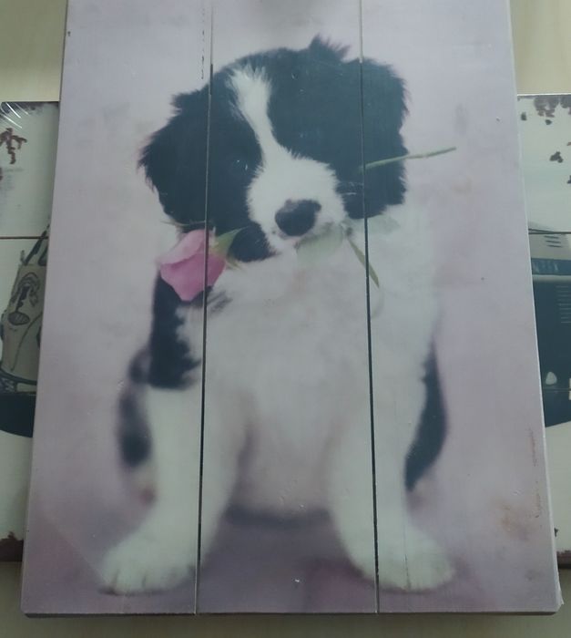 Quadro placa decorativa 40*30 em madeira