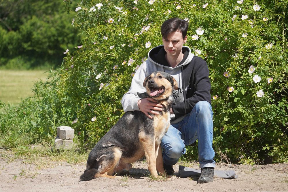 Bary - duży pies szuka domu