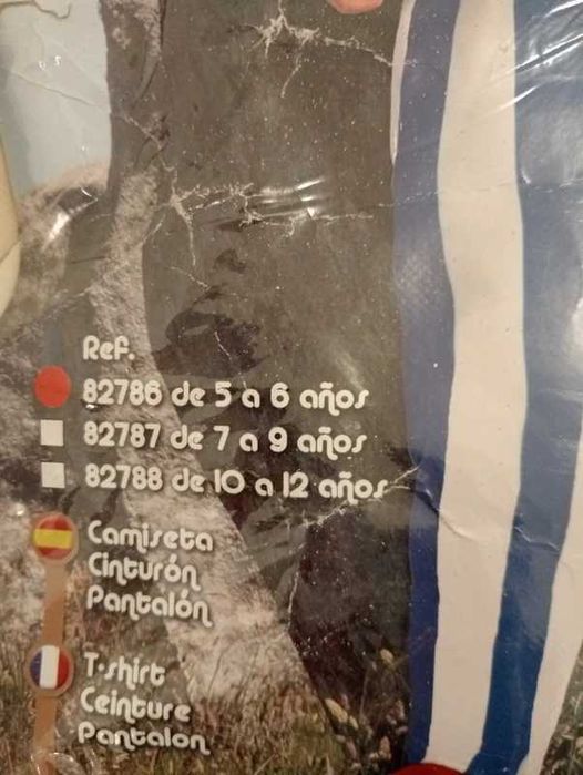 Carnaval Fato Obélix 5-6 anos