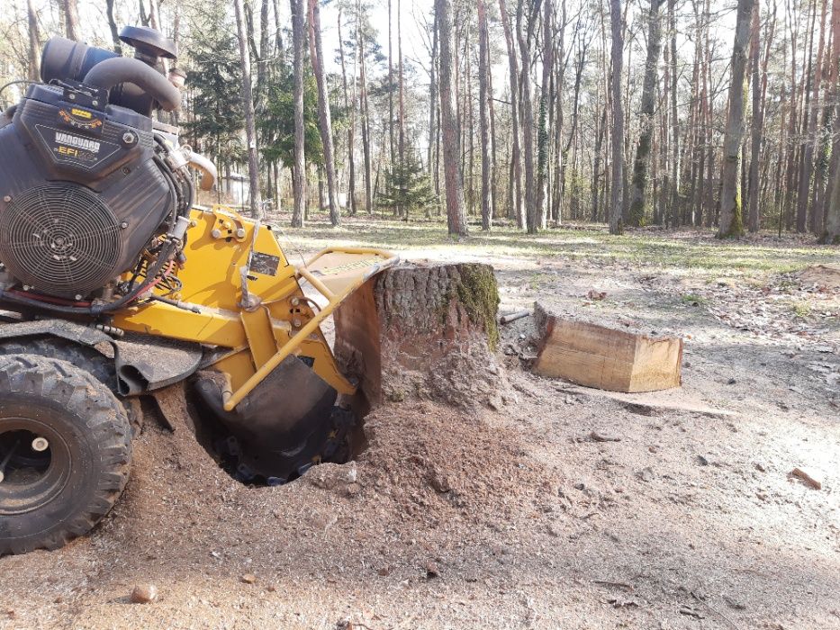 Usługa Frezarką Frezowanie Karp Usuwanie Pni Korzeni frezarka drzew