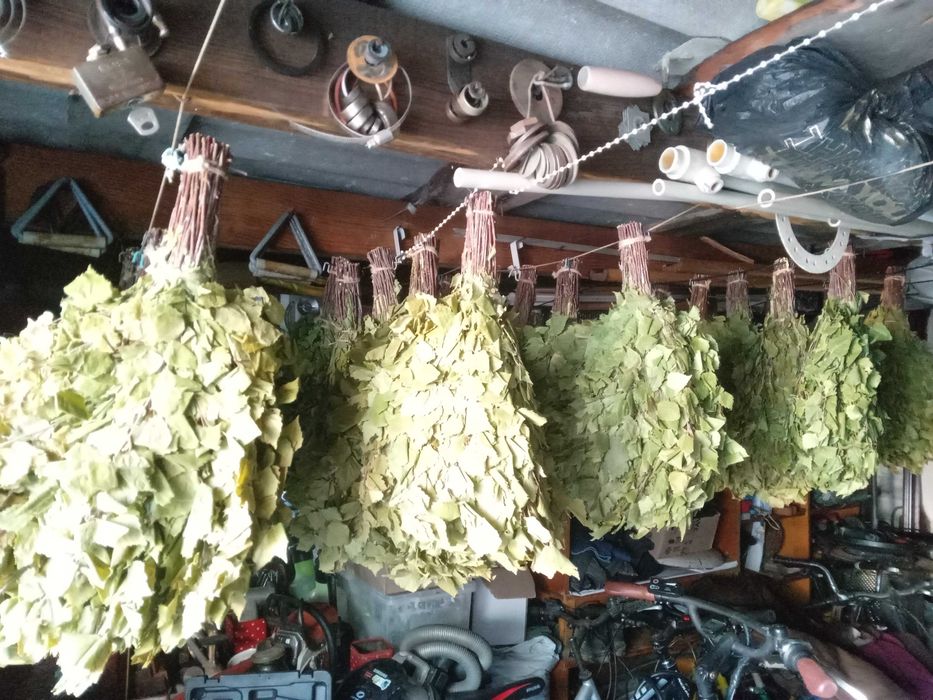 Продам віникі в баню