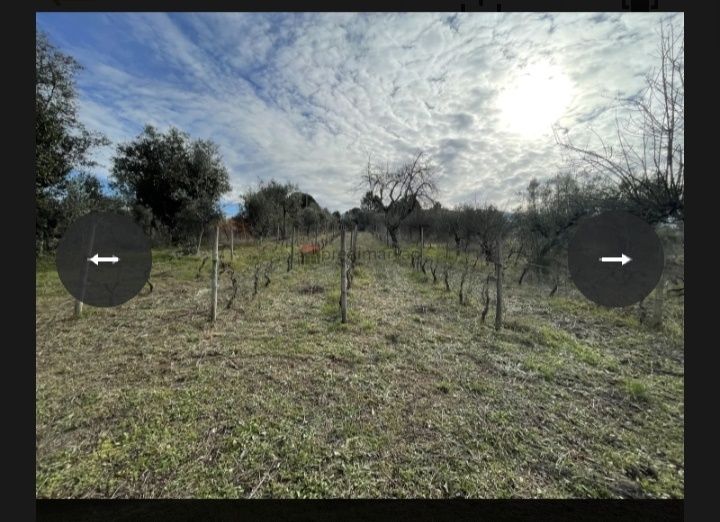 Terreno com casa
