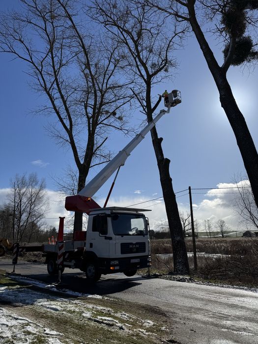 Podnośnik koszowy, zwyżka - WYNAJEM - 24/h - Tczew