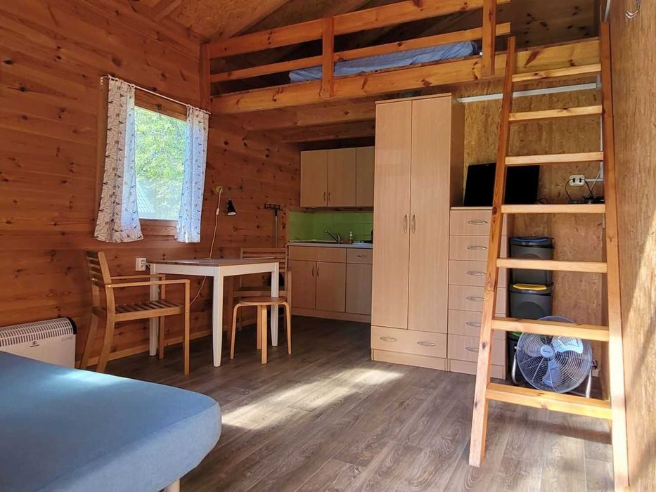 Apartamenty w Krynicy Morskiej i Domki blisko morza