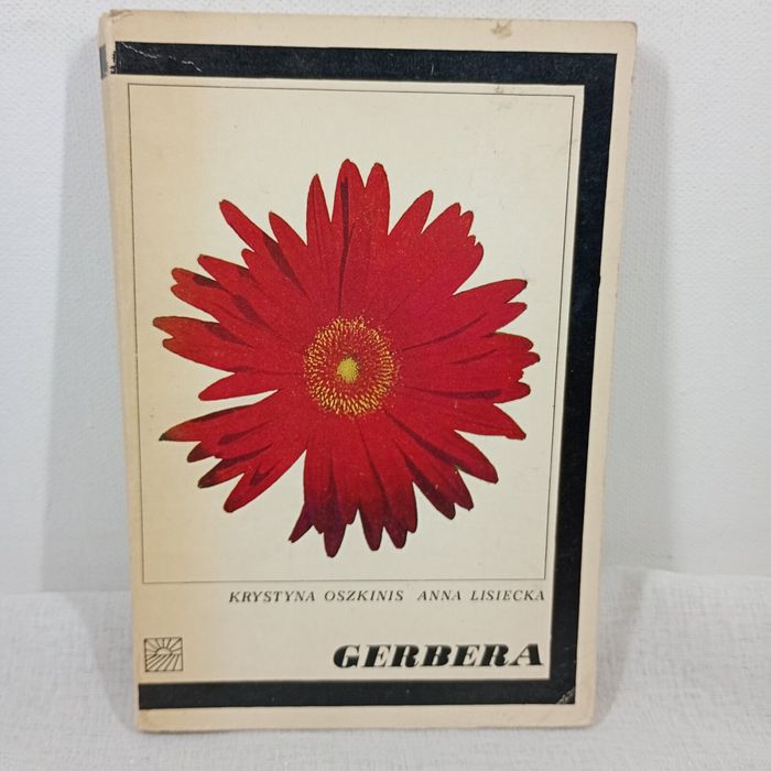 Gerbera. Anna Lisiecka