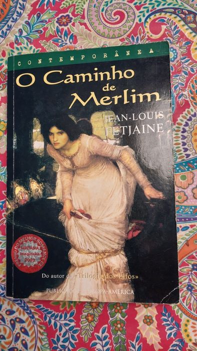 O caminho de Merlim  -  Jean-Louis Fetjaine