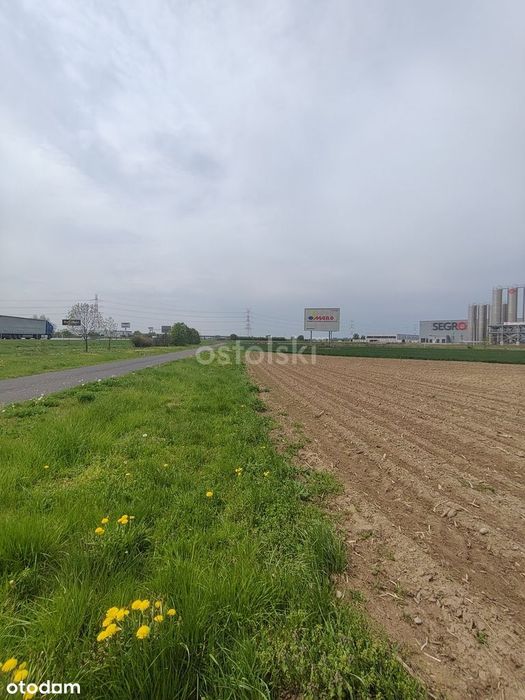 W strefie przemysłowej przy autostradzie
