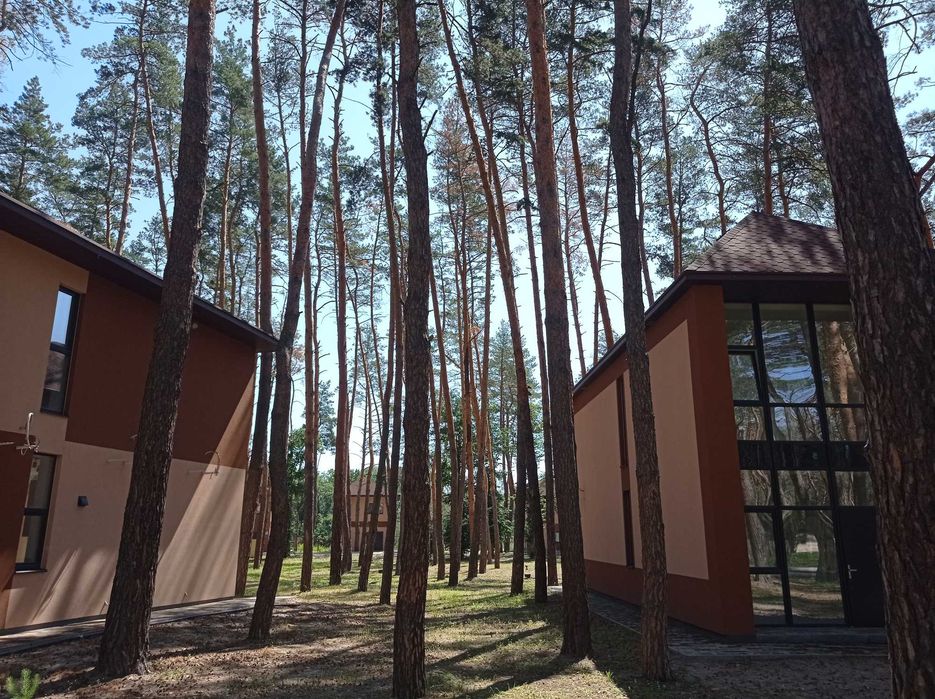 Дом в Орловщине , лес , река