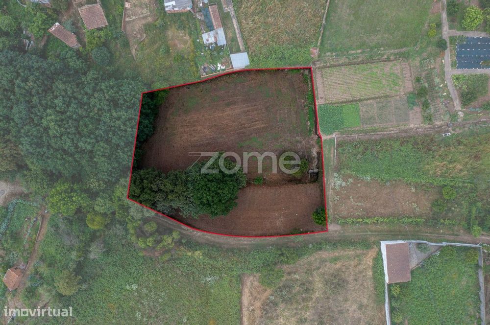Terreno Urbano, em sobreiro, Albergaria a Velha