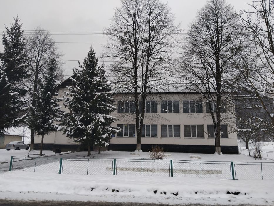 Ціну знижено! Продаємо будинок село Плоске Закарпатської