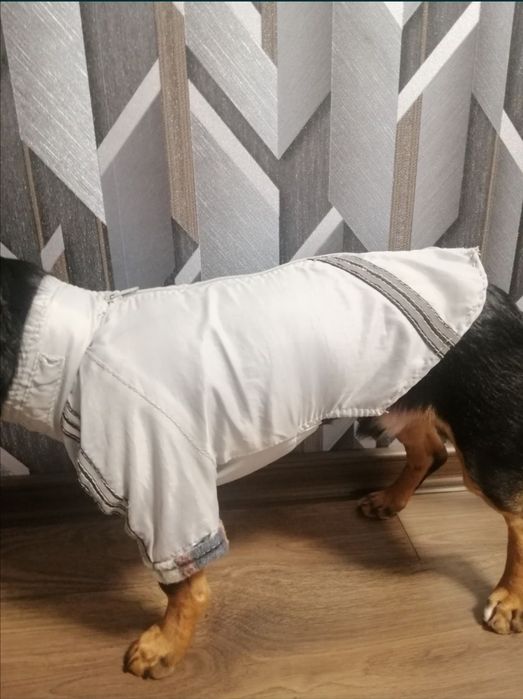 Жилетка/одяг речі для собак /курточка/комбинезон