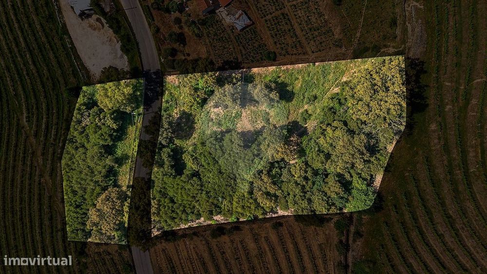 Terreno  para venda