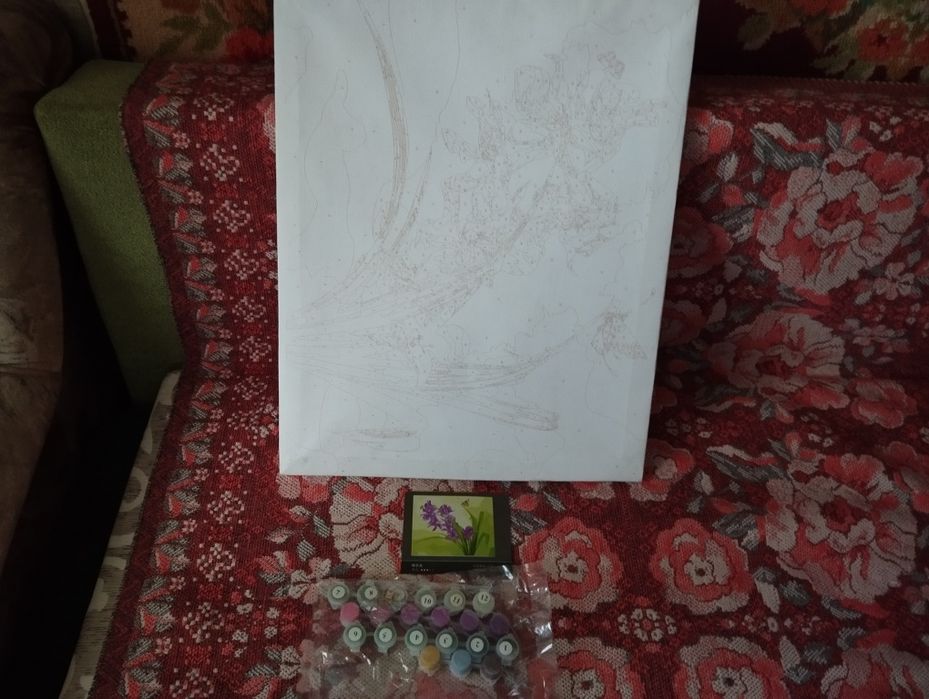 Картина по номерам 50*40 см Ирисы