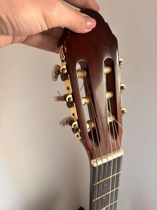XP Guitars AG604P