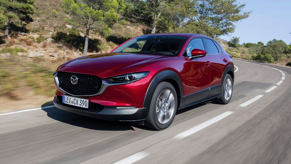 Zdjecie w galerii numer 1