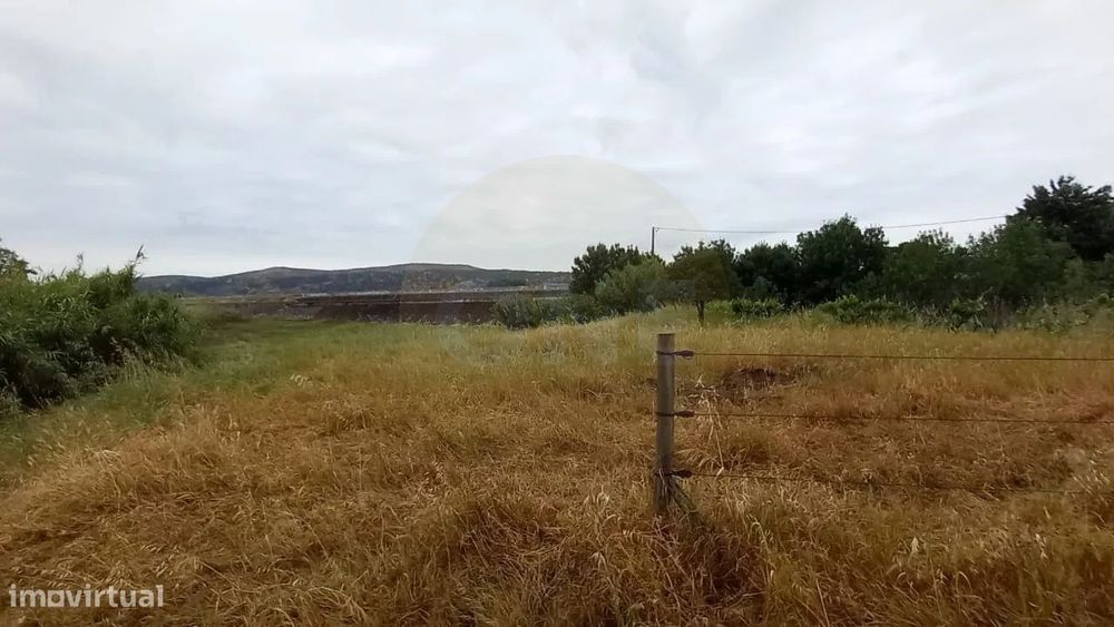 Terreno rústico | 8.160 m² | Casa de apoio T2 | Carregueira, Chamusca