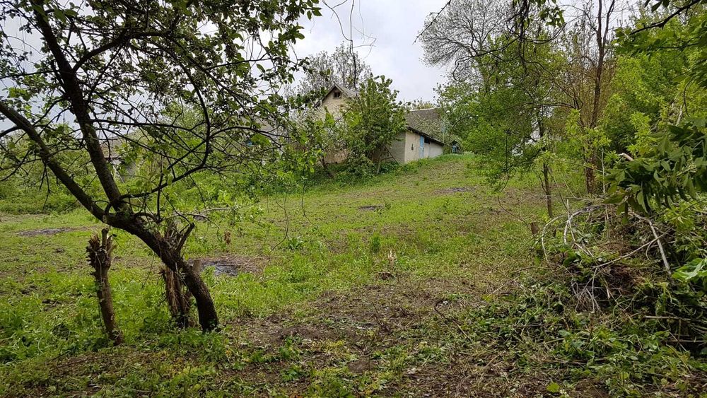 22,52 сотки землі з будинком та струмком | Власник | Триліси