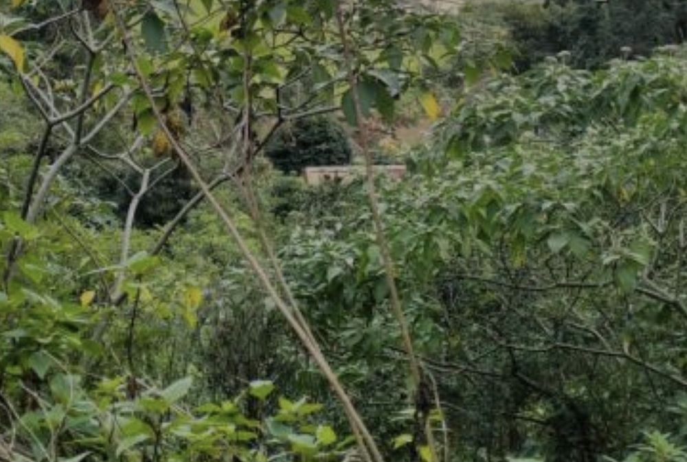 Terreno com edificação praia da Vitória