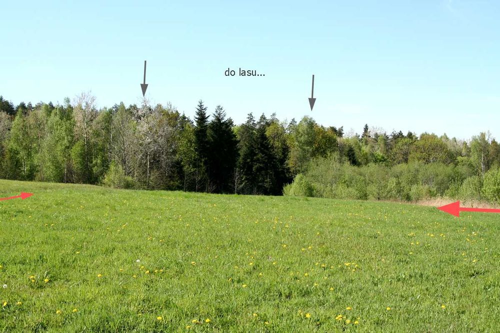 Piękna działka Kraków-Myślenice FULL MEDIA.