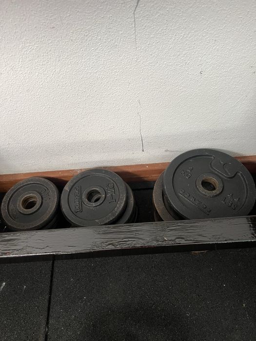 Halter + pesos de ferro