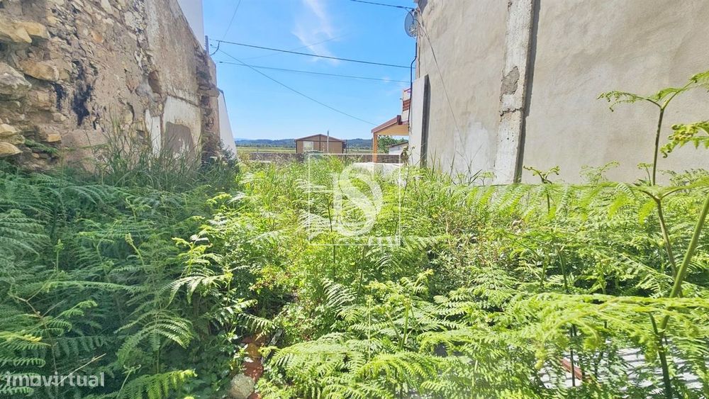 Terreno  Venda em Ereira,Montemor-o-Velho